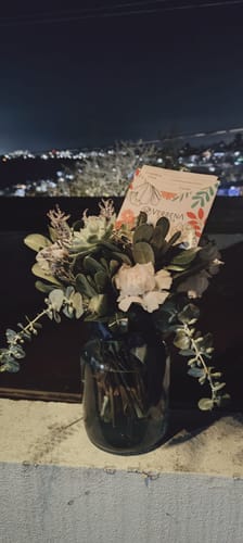 Customer photo review of Suculento - Clavel Blanco y Suculenta.